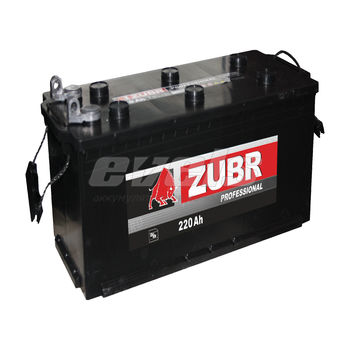 ZUBR Professional  6ст-220 рос.